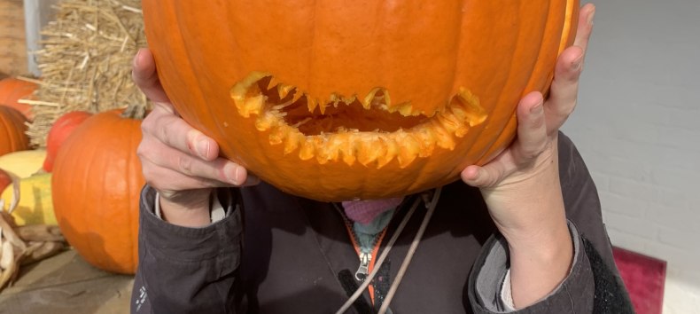 Pumpasnideri p&aring; Gut Marihn // &copy; N.M.