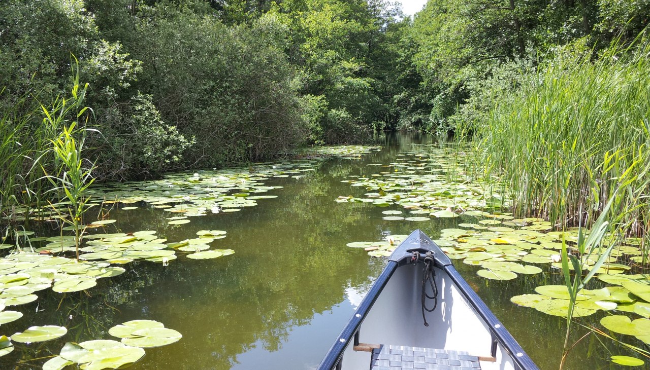 canoe, © Kormoran Kanutouring