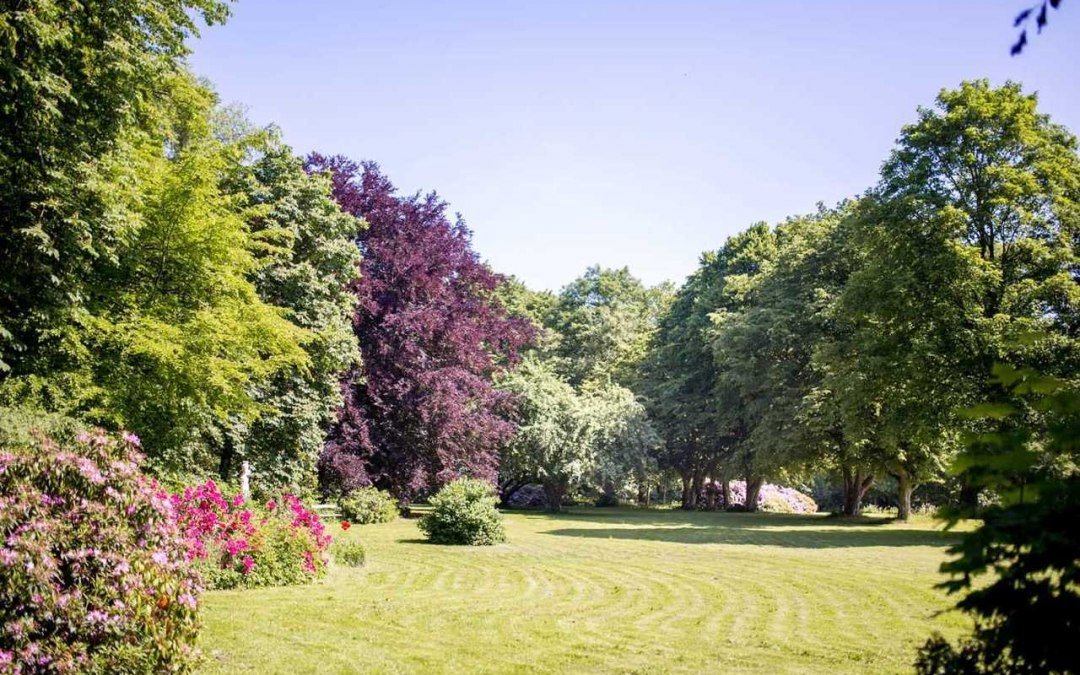 Rododendronbomen in het park, © Herrenhaus Samow