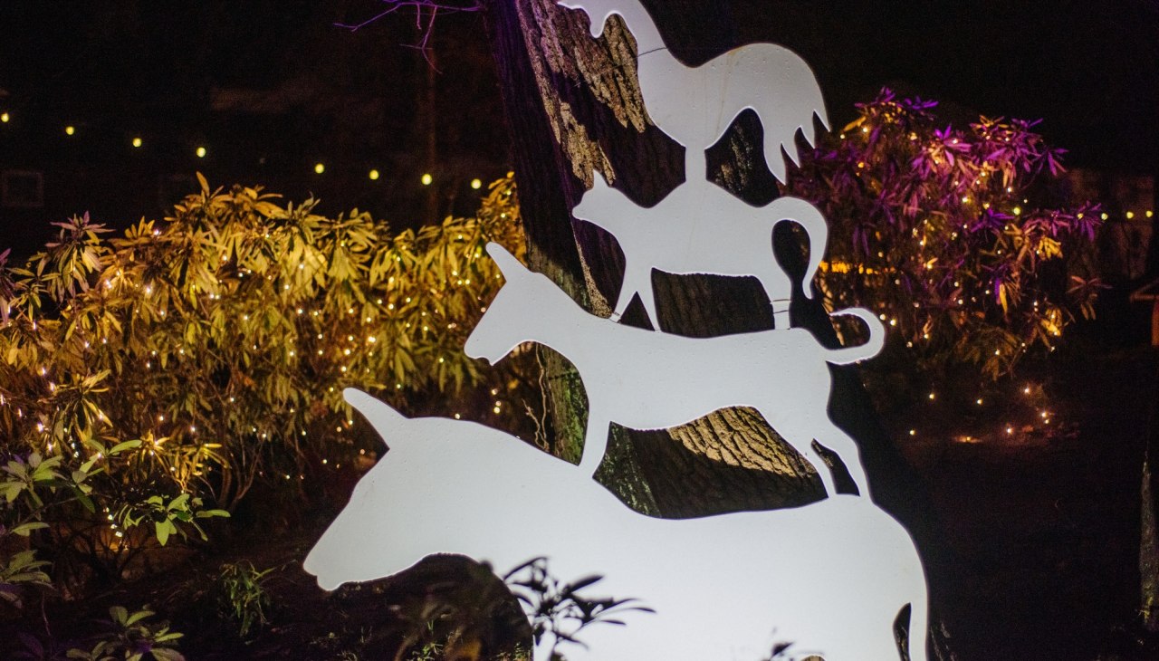 Jarmark bożonarodzeniowy w Binz "Anioły, światło i morze", © Binzer Bucht Tourismus Jarmark bożonarodzeniowy w Binz "Anioły, światło i morze", © Binzer Bucht Tourismus