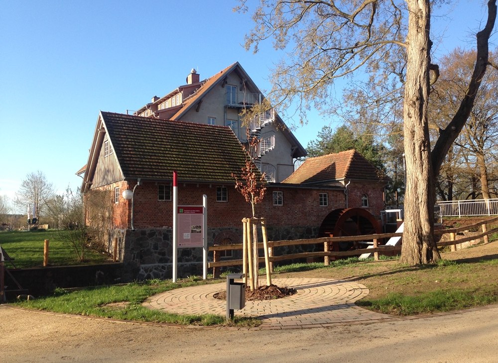 Water show wheel and mill fleece at the Bolter mill, © TDG Rechlin mbH