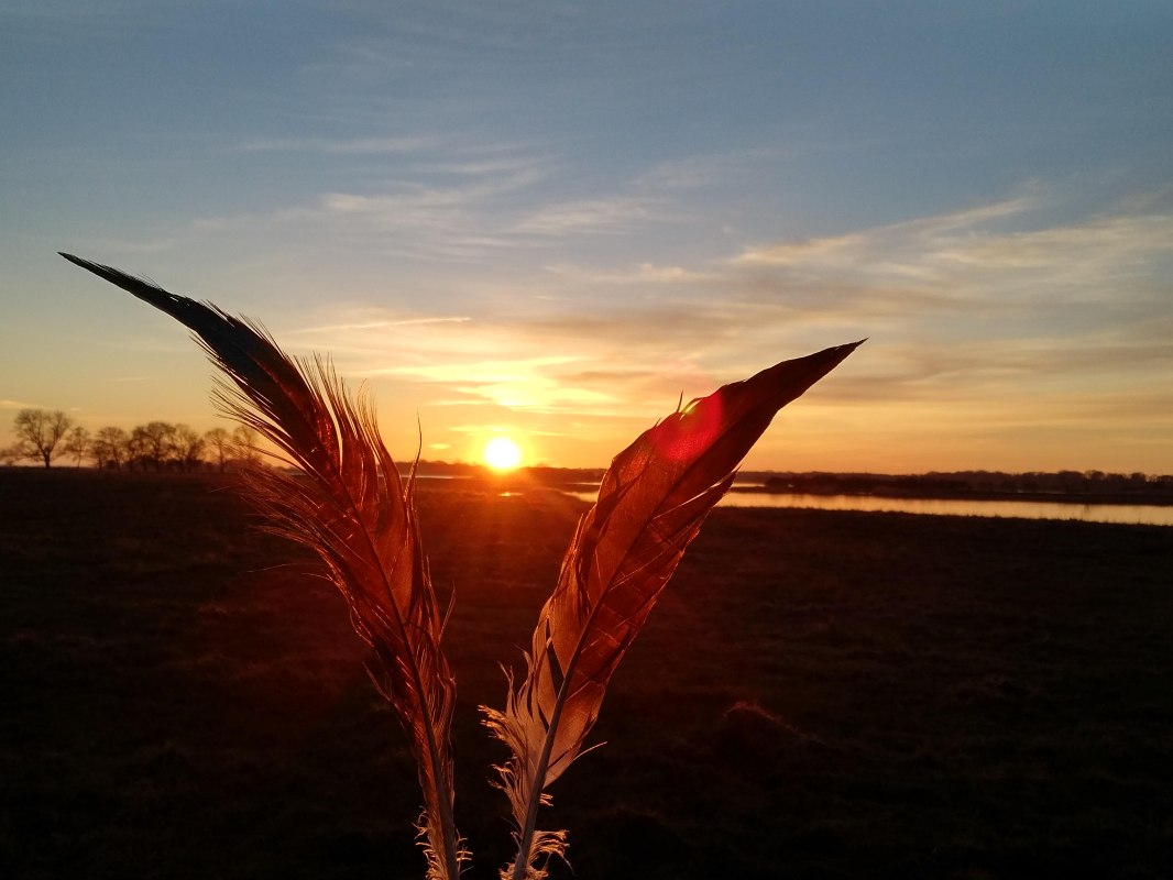 #Wyspa Ummanz#Zach&oacute;d słońca#Pi&oacute;ra żurawia, &copy; Silke Stephan