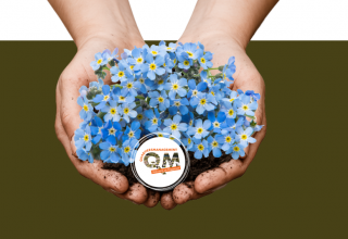 Forget-me-not // &copy; QM