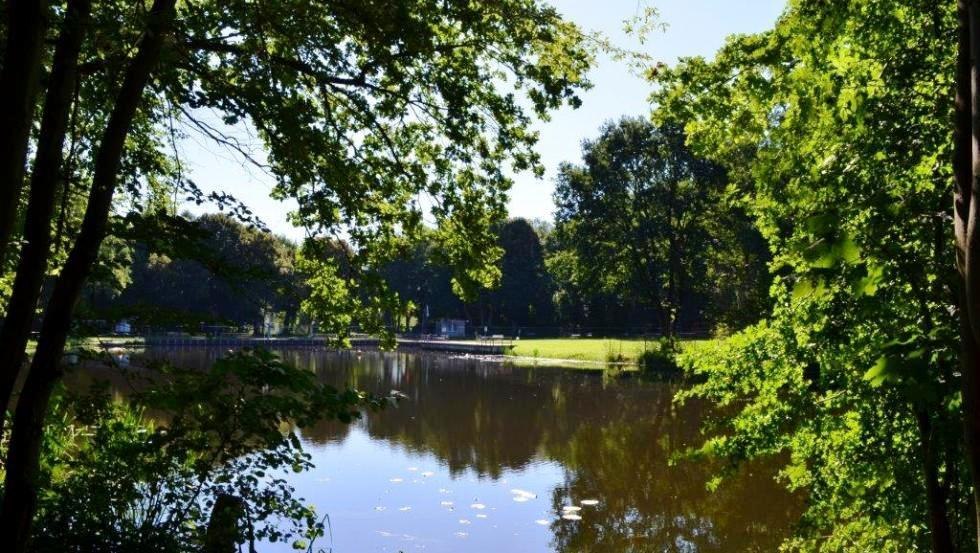 Naturalny basen w Bekow z trawnikiem do opalania i starymi drzewami, © Stadt Hagenow