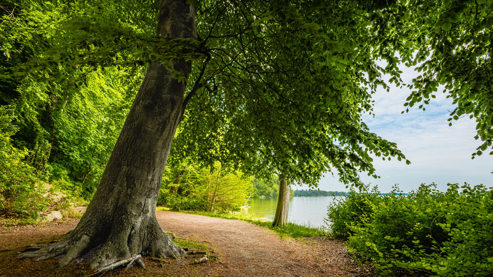 W parku zamkowym Wiligrad znajduje się wiele kilometrów promenady. // © MV-T/Tiemann W parku zamkowym Wiligrad znajduje się wiele kilometrów promenady. // © MV-T/Tiemann