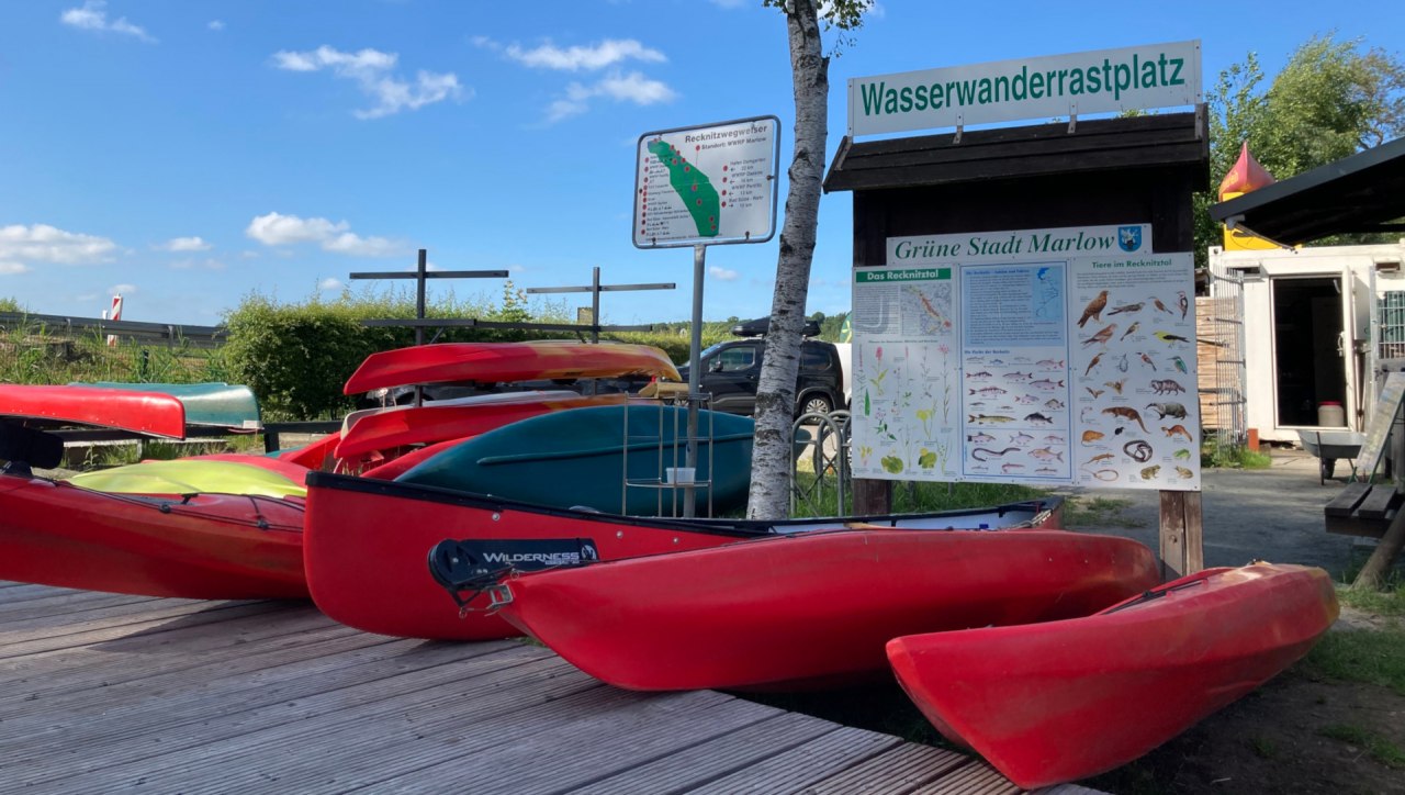 &copy; Manuela Steimle