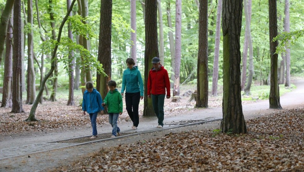 Zonder schoenen kun je over het blotevoetenpad lopen over verschillende natuurlijke materialen zoals hout, stenen en dennenappels., © TMV/outdoor-visions.com