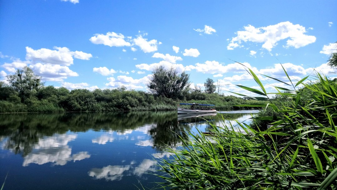 Launch Regulus, © Jana Koch Launch Regulus, © Jana Koch