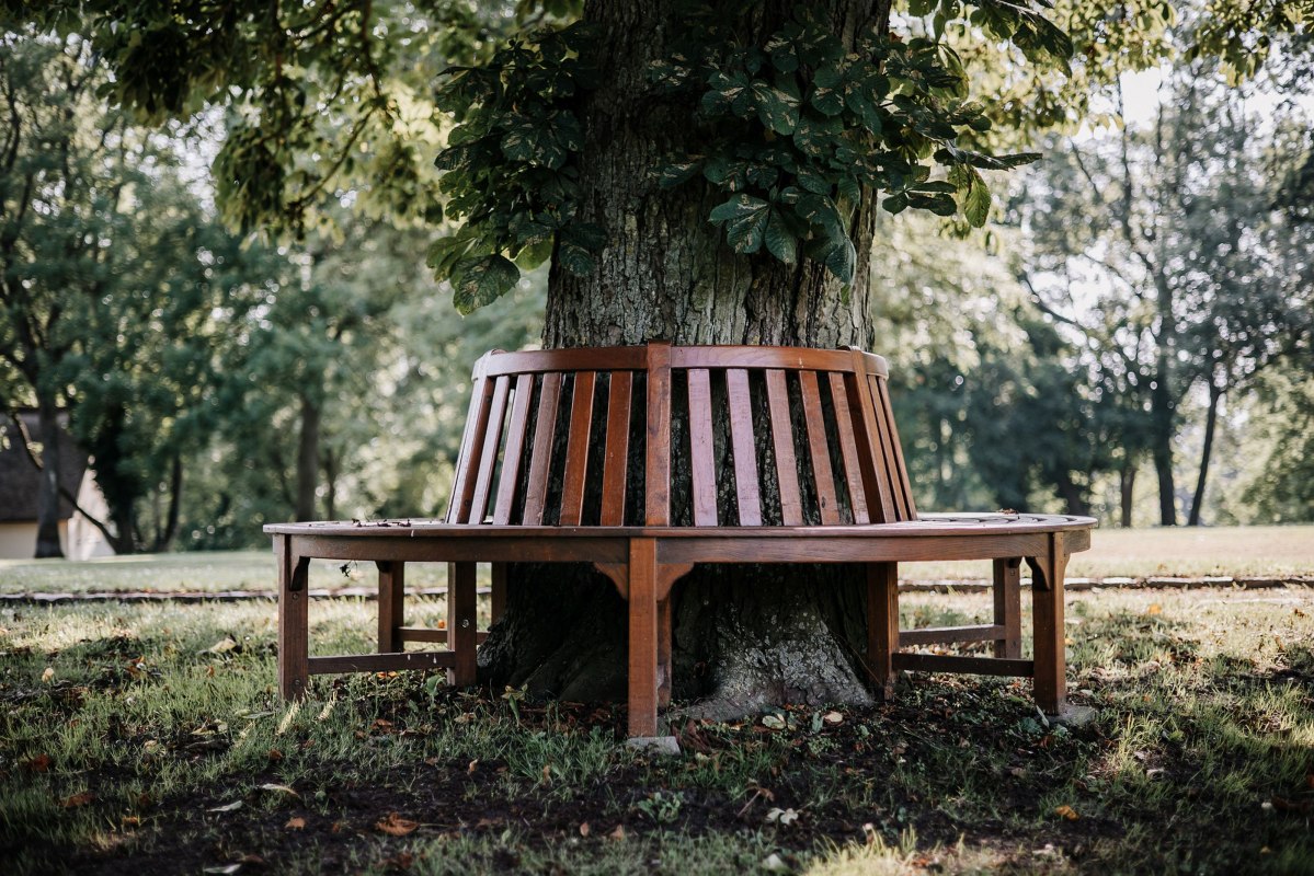 Gezellige plekjes zoals deze boombank vind je overal in het park en het landhuis // © Gutshaus Gremmelin Gezellige plekjes zoals deze boombank vind je overal in het park en het landhuis // © Gutshaus Gremmelin