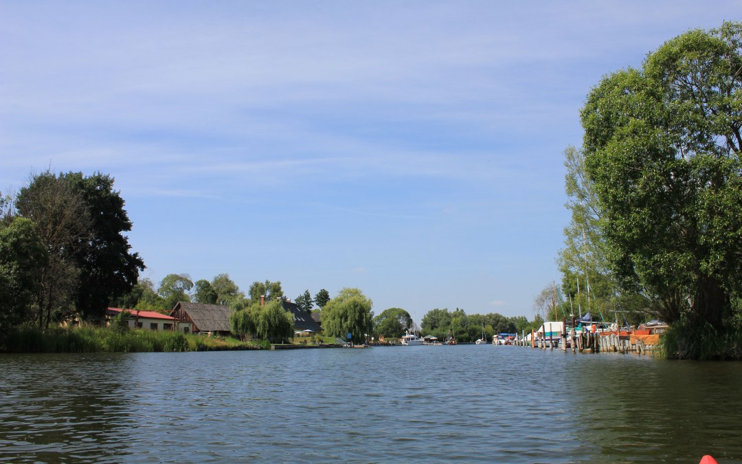 Uitzicht vanaf het Kummerowmeer in de Peene, © M. Kiauka