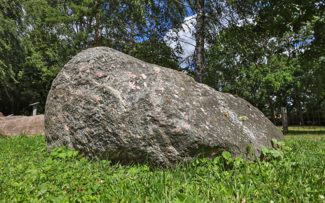 Rotstuin Hohen Mistorf_1, © TMV/Gohlke