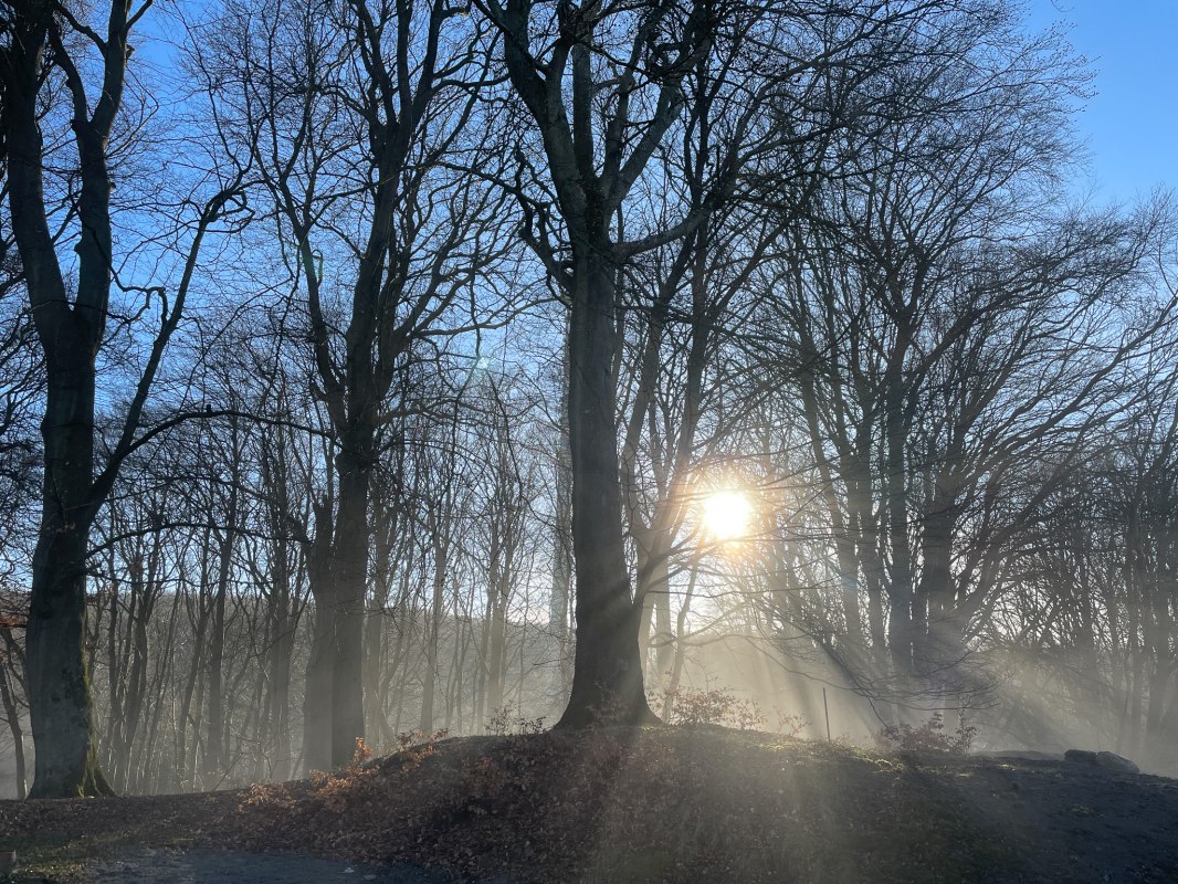 IMG_7855, &copy; NZK