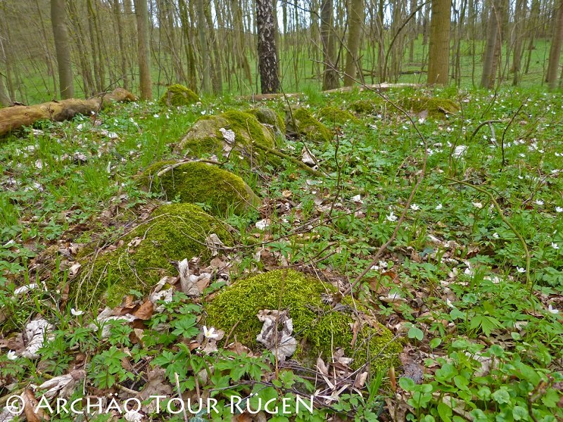 W lesie liściastym ukrytych jest ponad 400 kurhanów z okresu słowiańskiego, © Archäo Tour Rügen