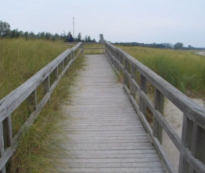 Strandtoegang 4 via een houten steiger in Ahrenshoop // &copy; TV FDZ