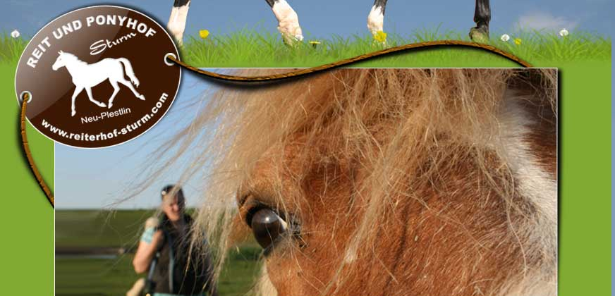 Manege Sturm, © Reiterhof STurm