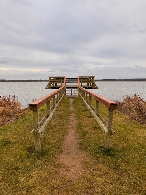 Fleethof1, &copy; Staatliches Amt f&uuml;r Landwirtschaft und Umwelt Vorpommern