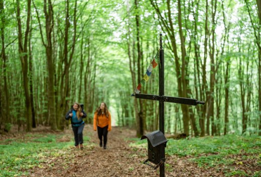 De Helpter Berg - de hoogste top van Mecklenburg-Vorpommern - meet 179 meter. Dat is genoeg om de vriendinnen buiten adem te krijgen! Vergeet natuurlijk niet het topboek te tekenen! // © MV-T/Gross De Helpter Berg - de hoogste top van Mecklenburg-Vorpommern - meet 179 meter. Dat is genoeg om de vriendinnen buiten adem te krijgen! Vergeet natuurlijk niet het topboek te tekenen!