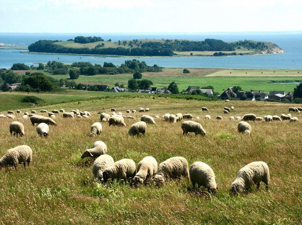 View from Bakenberg to the island of Vilm, © Tourismuszentrale Rügen
