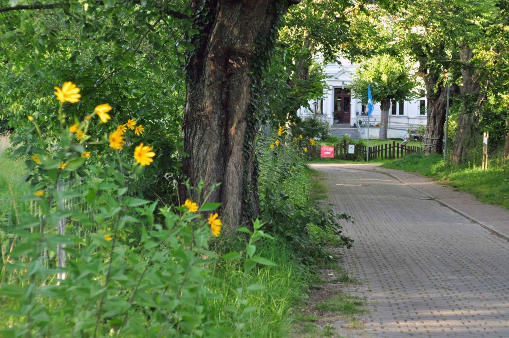 A cozy spot... If you are traveling by bike from Barth to Stralsund or vice versa, you won't get past us., &copy; Christa Dregger