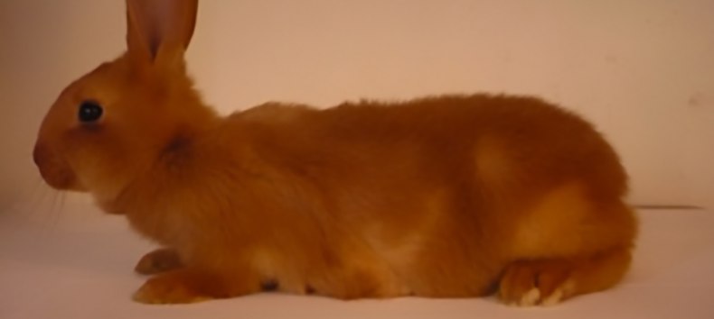 © Courtesy: Céline Mathieu, Reinier Hoon & Gauli Zitter. © Courtesy: Céline Mathieu, Reinier Hoon & Gauli Zitter.