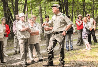 &copy; Infozentrum Wald und Moor