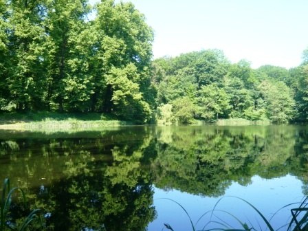 View of the lake from the lake terrace // © A. Brands View of the lake from the lake terrace // © A. Brands