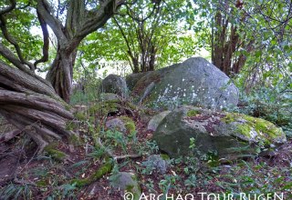 Verborgen in de struiken liggen de overblijfselen van de megalithische graftombe "Teetsbusch"., © Archäo Tour Rügen