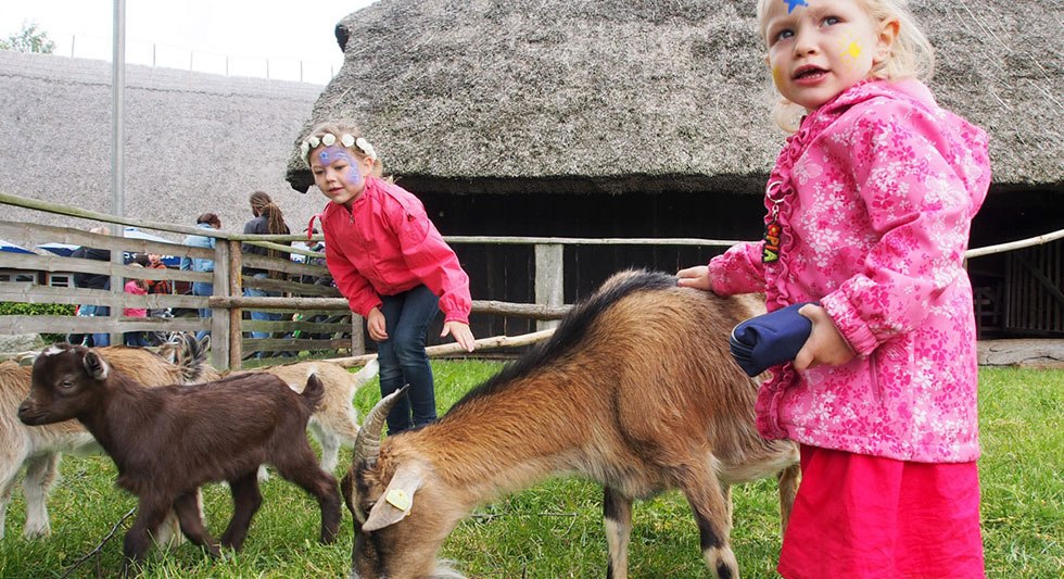 Zwierzęta z bliska // &copy; Freilichtmuseum Klockenhagen