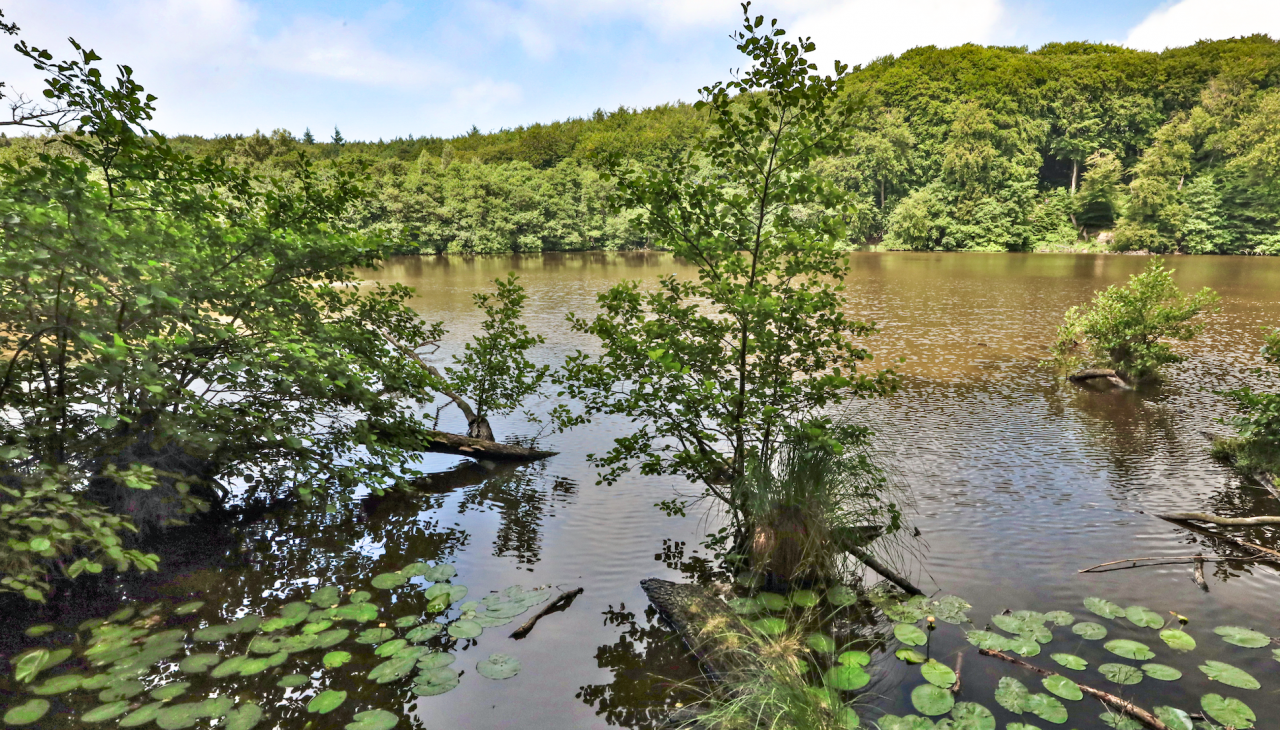 herthasee_2, © TMV/Gohlke