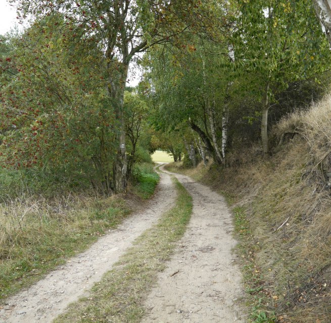 © Naturpark Sternberger Seenland
