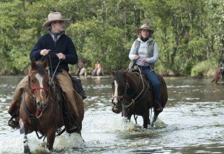 Reiten und Fahren in Mecklenburg-Vorpommern - Von ganz ruhig bis eisern wild // &copy; MV-T/Hafemann