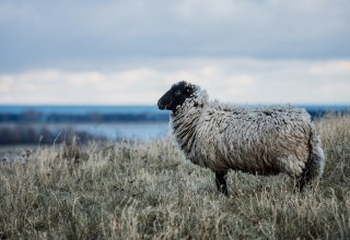 © Foto: Christian Thiele