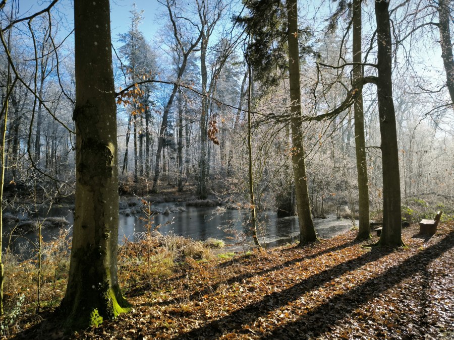 IMG_20250119_114715, © Jana Koch IMG_20250119_114715, © Jana Koch