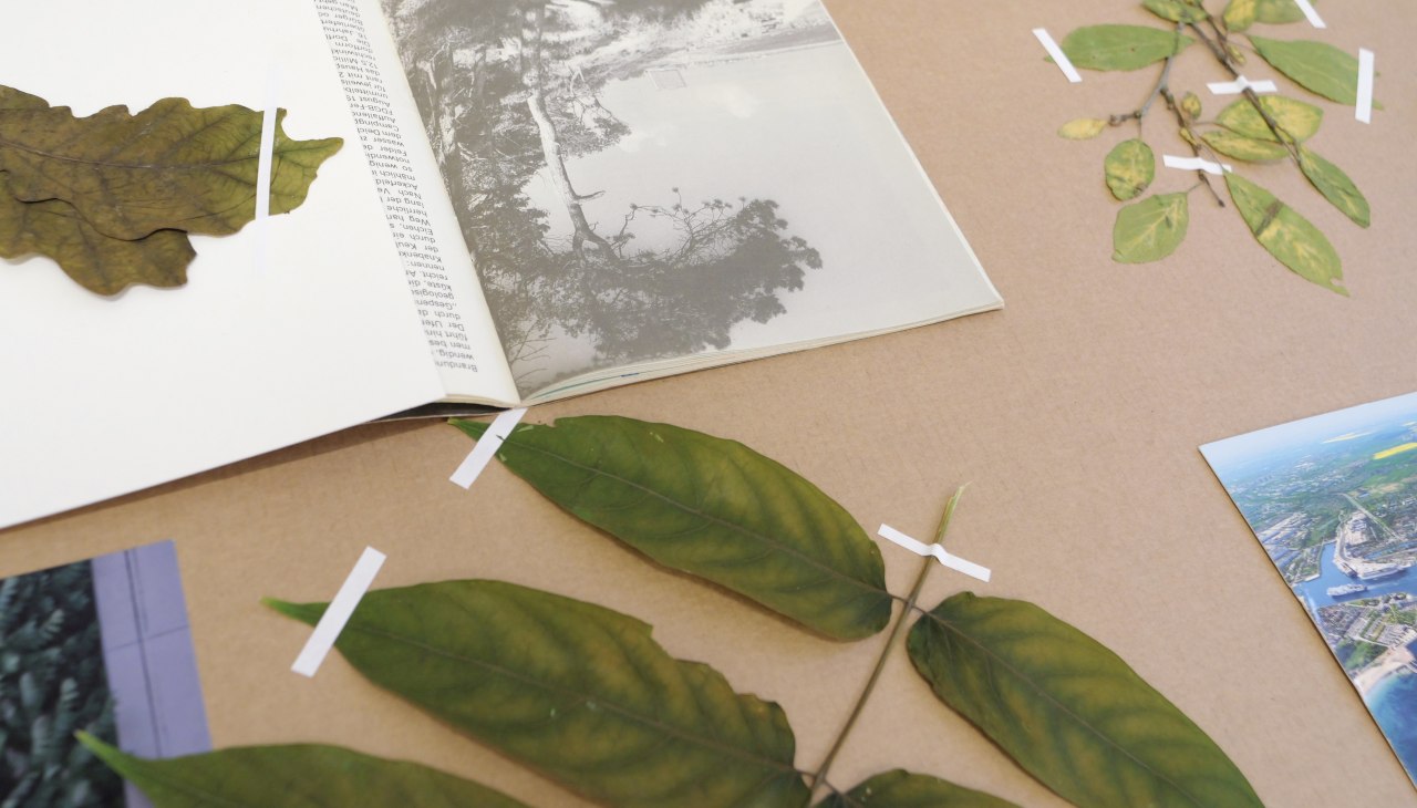 © from "StonesMove. Trees Speak". Courtesy Helene Sommer © from "StonesMove. Trees Speak". Courtesy Helene Sommer