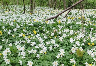 &copy; Kurverwaltung Goehren