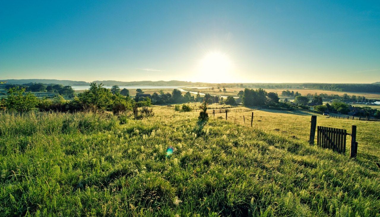 Weidefestival Moritzdorf_Pocha, © Burwitz-Pocha Weidefestival Moritzdorf_Pocha, © Burwitz-Pocha