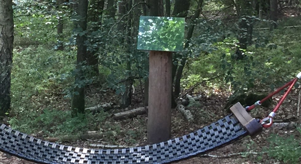 Guided tour of the UNESCO World Heritage Site "Ancient Beech Forests, © Otto Woit