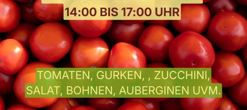 Direct Sales of Summer Vegetables // © Lebendiger Landbau Direct Sales of Summer Vegetables // © Lebendiger Landbau