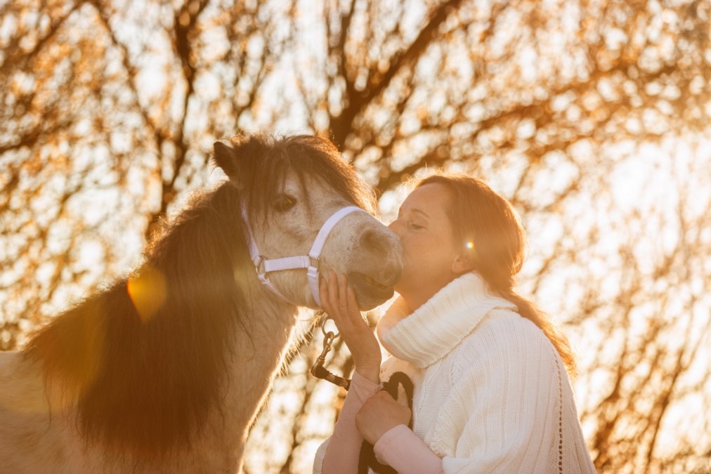 Koń jako lustro dla samego siebie, © Anniemal Fotografie
