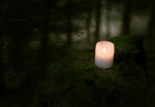 Candle in the forest // &copy; Kaja Kadlecova