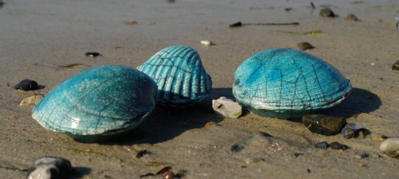 © Astrid Rohmer © Astrid Rohmer