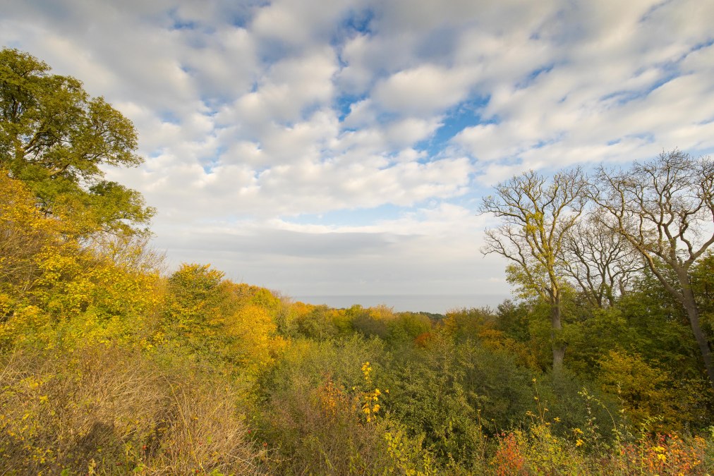 Ontspannen herfstwandeling (c) Goehren Martin Stoever 2016 _P5I5205, © Kurverwaltung Goehren / Martin Stoever