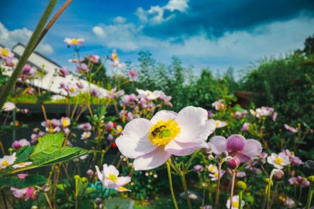 &copy; istockphoto