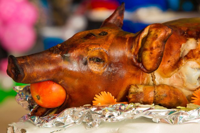 Suckling pig for special occasion ... // © Landfleischerei Wiechmann GbR Suckling pig for special occasion ... // © Landfleischerei Wiechmann GbR