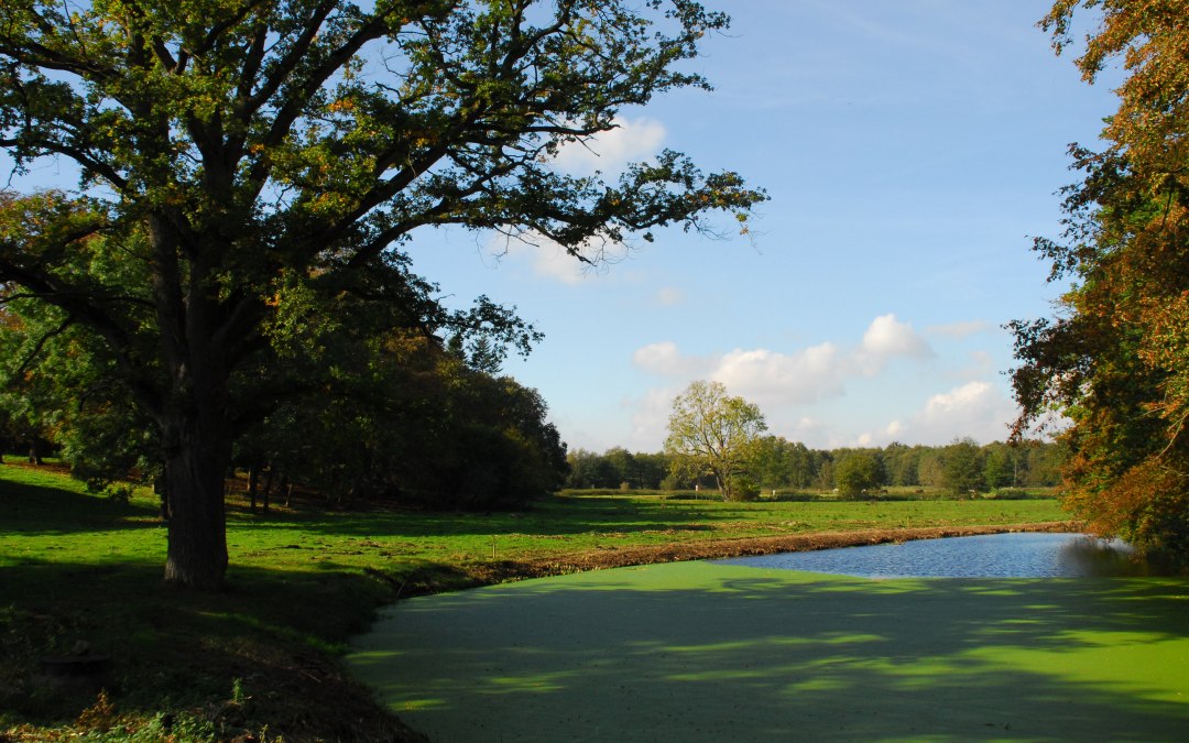 Alt Plestlin Vijverpark, © Friedrich Diestelmeier