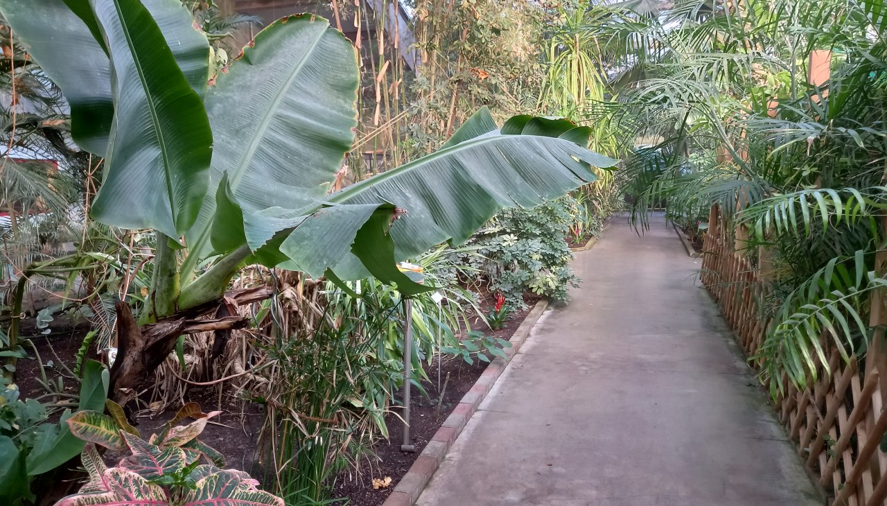 20220312_163531, &copy; Schmetterlingsfarm/Heike Schnelle