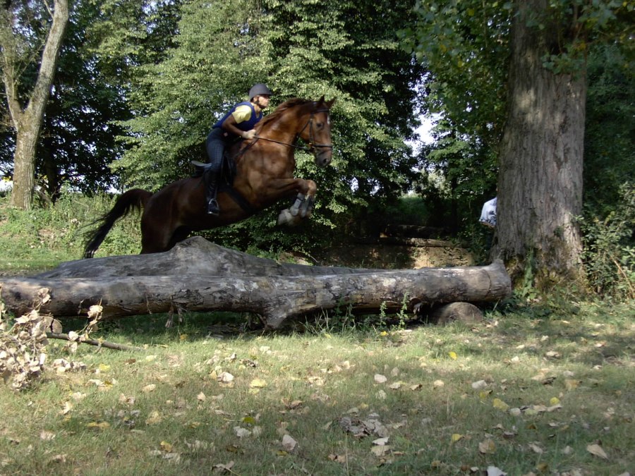 Ośrodek jeździecki Sabine Bender, © Sabine Bender
