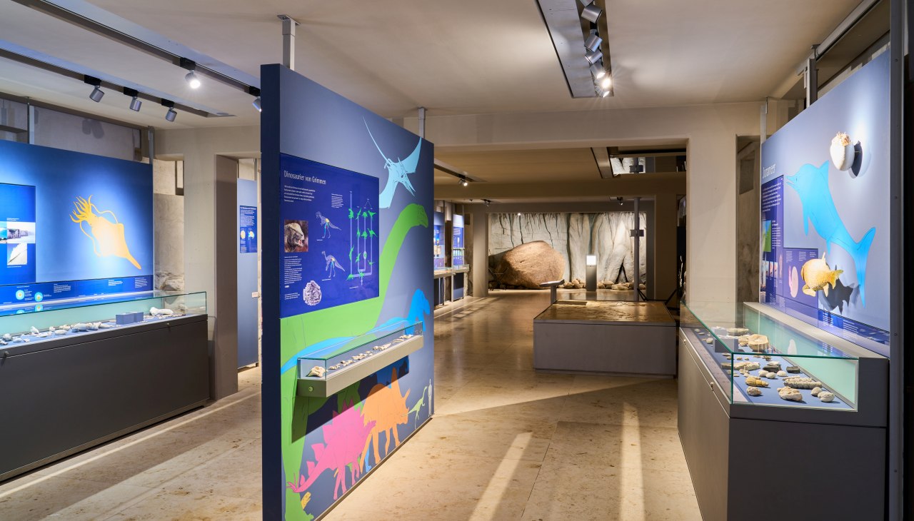 Historia Ziemi: od dinozaurów do ostatniej epoki lodowcowej, © Pommersches Landesmuseum / Norman Posselt