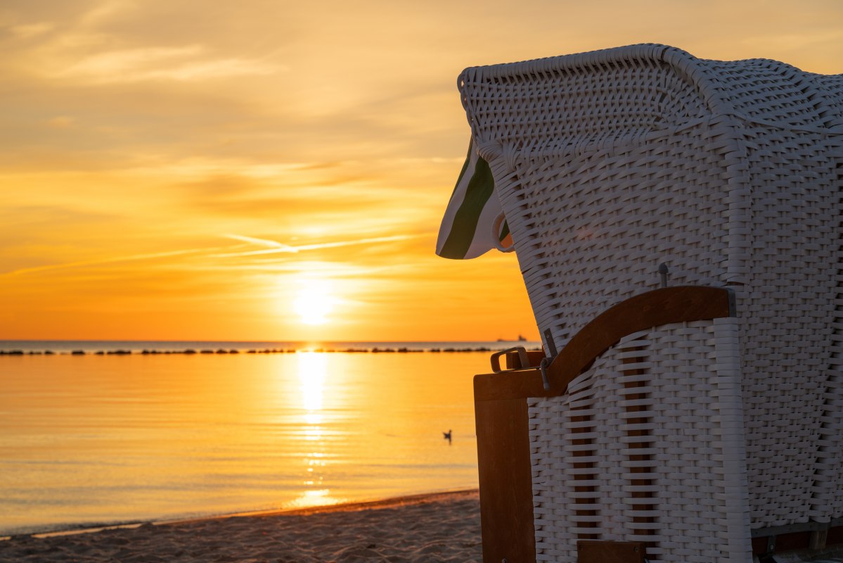 &copy; Pocha Burwitz