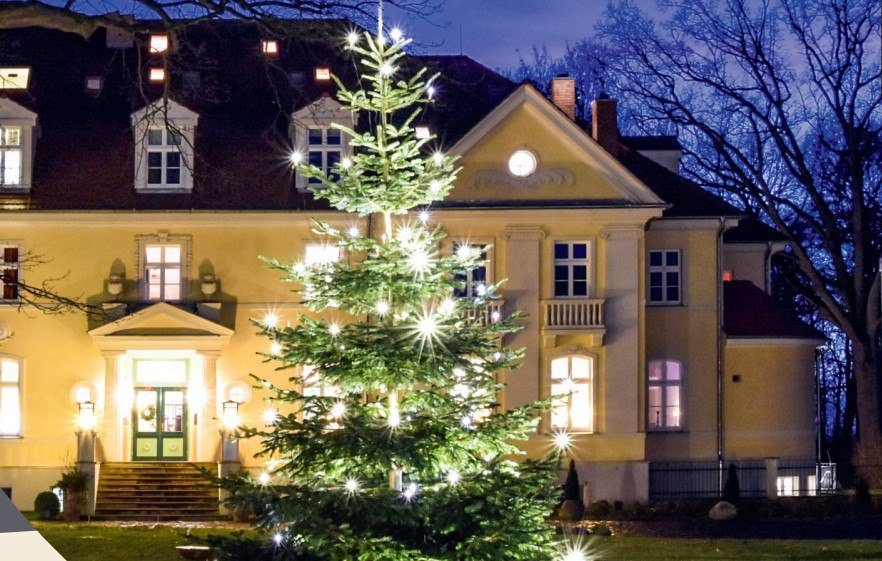 Choinka przed klasztorem, naprzeciwko klasztornej kawiarni., © Kloster Gut Saunstorf